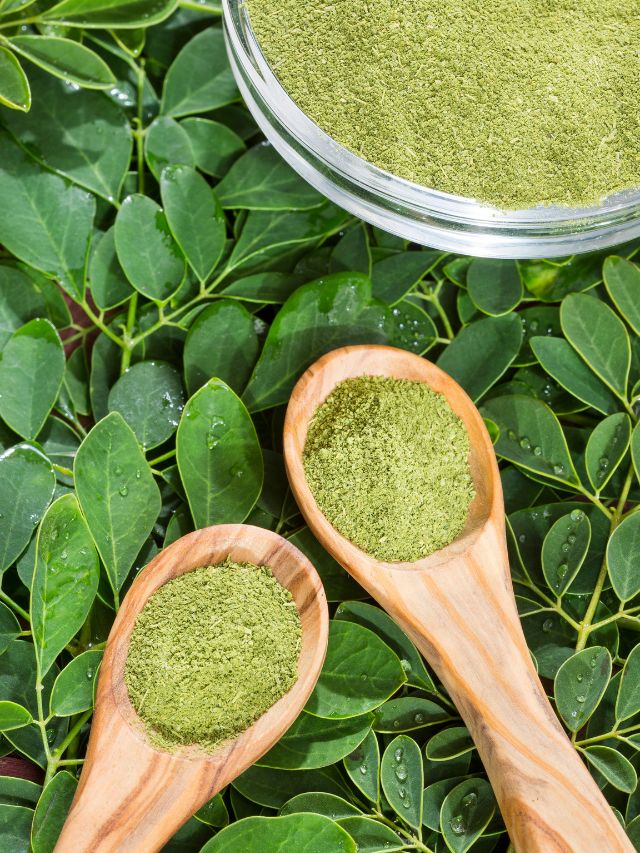 Read more about the article Moringa Water : Health Benefits That You Should Know